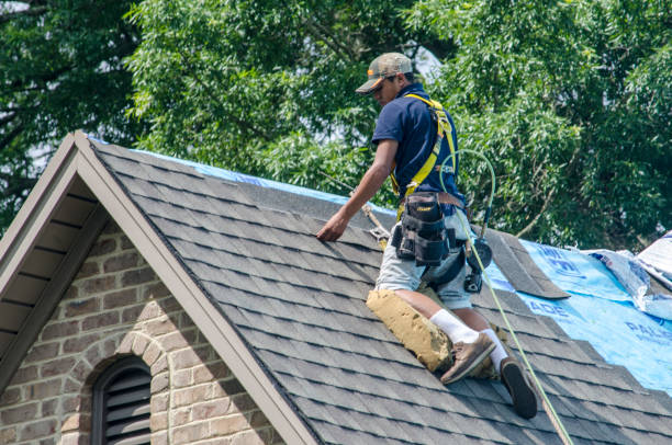 Best Local Roofing Companies  in Mccaysville, GA
